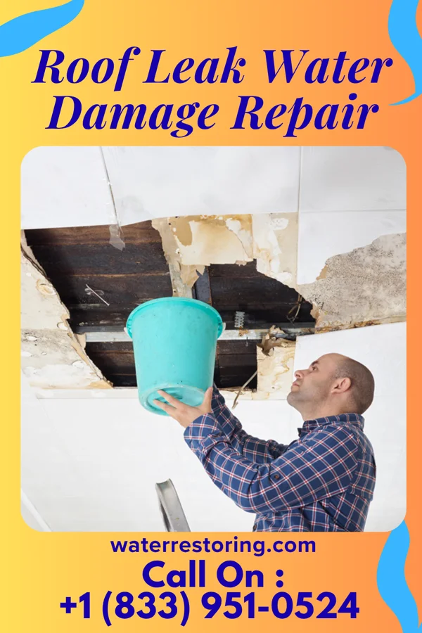 Roof Leak Water Damage Repair in Centuria, WI