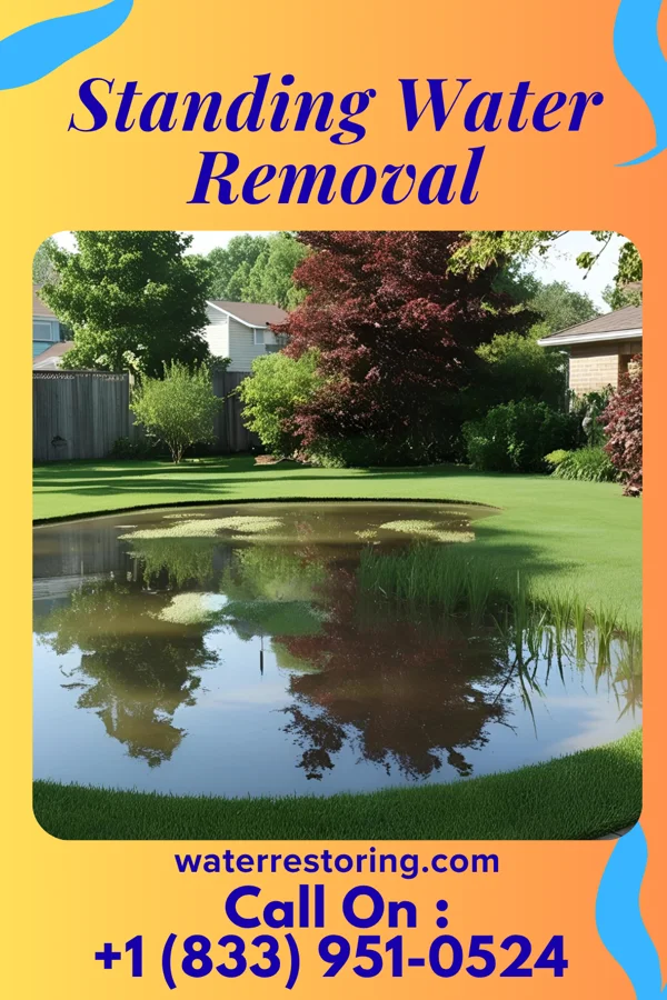 Standing Water Removal in Centuria, WI